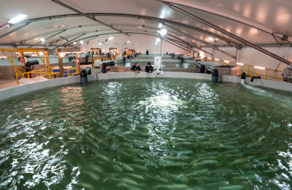 2023 09 RAS AQUACULTURE HI RES  DSC5540
