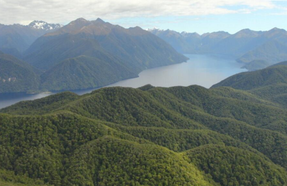 Zealandia gns