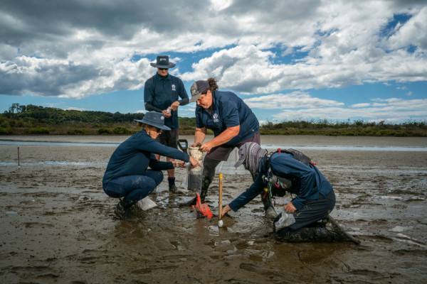 Earth Sciences NZ staff take samples from the Waihi estuary research site. Photo: Stuart Mackay, ESNZ