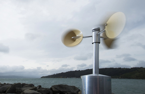 Data Networks Databases and Collections ESNZ