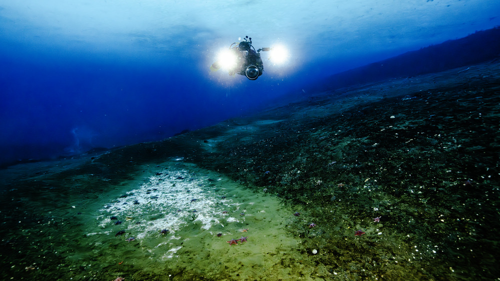 Divers surveying a methane seep at Cape Evans   Credit Leigh Tait   Earth Sciences NZ