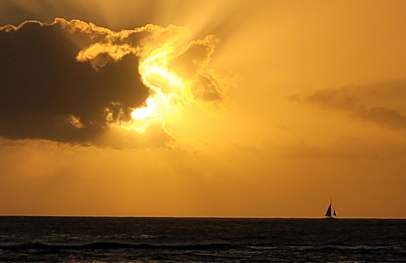 EMERGING WIN 2024 photocomp Wel lau WELLINGTON Davidson banner