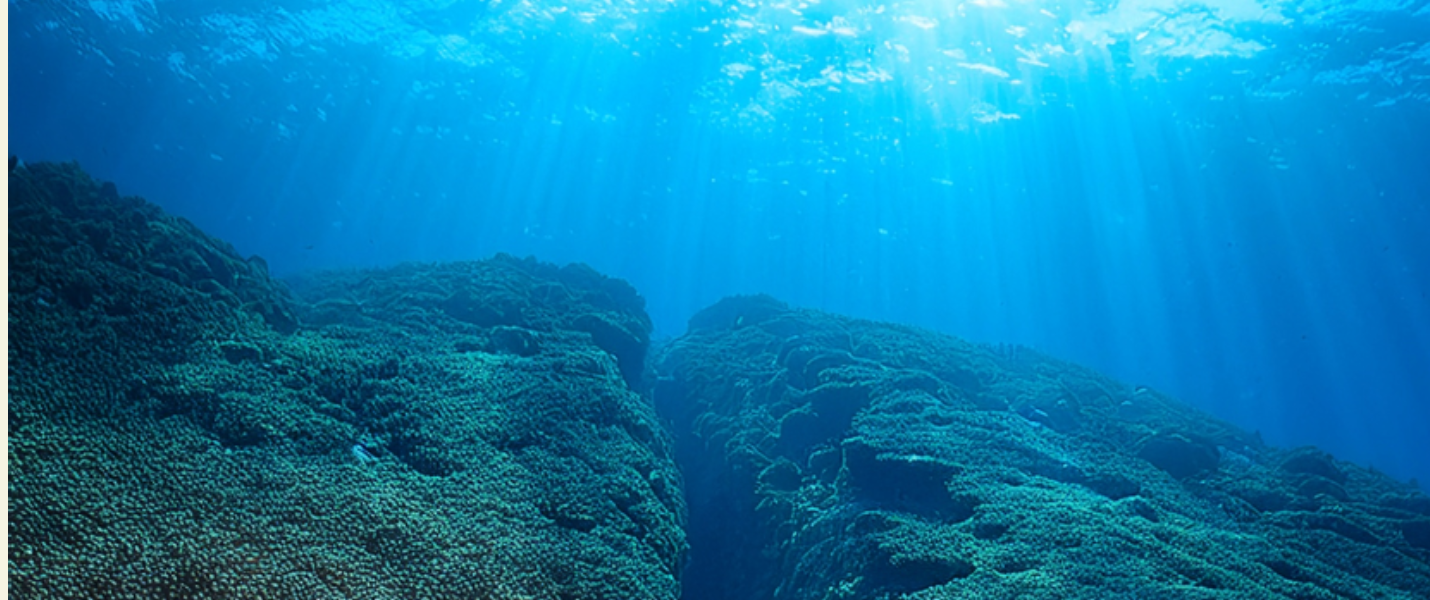 Untitled 2 Hero 1430 x 600