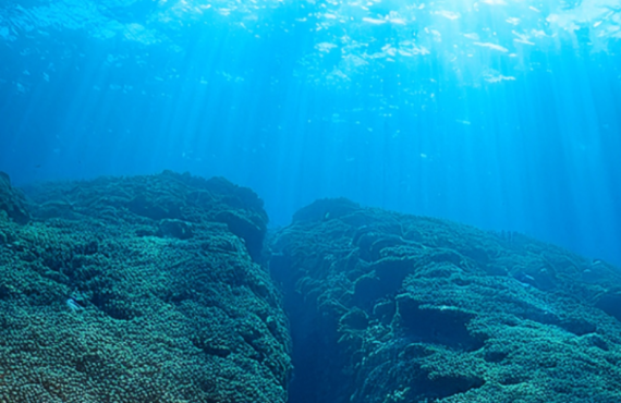 Untitled 2 Hero 1430 x 600