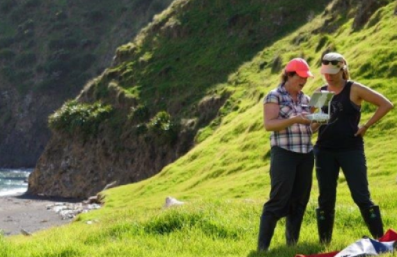 landscapes and seascapes (1)