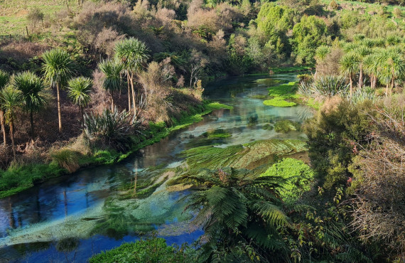 nitrates ground hero 2