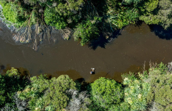 Healthy freshwater CR